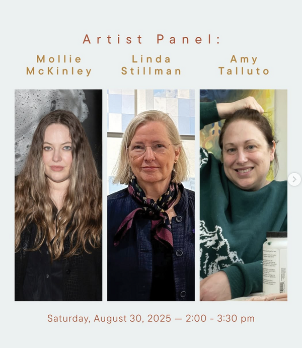 Panel at Ann Street Gallery